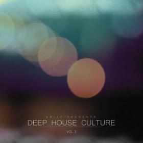 Deep House Culture Vol 3 (2014)