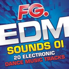 FG EDM Sounds 01 - 20 Electronic Dance Music Tracks (2014)