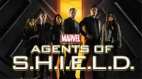 Marvel's Agents of S.H.I.E.L.D.   Seizoen2 Afl 10 HDTV (XviD) NL Subs DMT