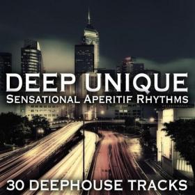 Deep Unique Sensational Aperitif Rhythms (2014)