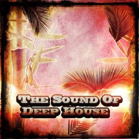 The Sound of Deep House (24 Top Songs The Very Best of Deep House Essential for DJs (2014)