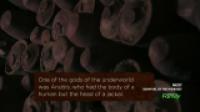 Ancient Case Files S01E01 Egyptian Mystery Coffin 720p HDTV x264-W4F[brassetv]