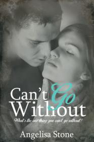 Can't Go Without (Oasis Waterfall #2) by Angelisa Stone epub