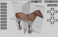 3D Horse Anatomy Software v1.2