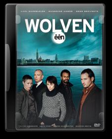 Wolven Se01Ep11 DVDRip NL subs DutchReleaseTeam