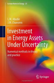 Investment in Energy Assets Under Uncertainty Numerical methods in theory and practice