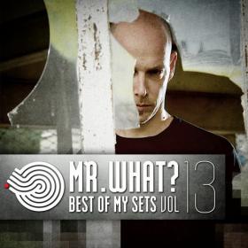 Best Of My Sets Vol 13 (Compiled By Mr  What) (2015)