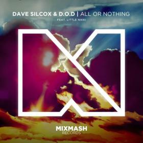 Dave Silcox & D O D feat  Little Nikki - All Or Nothing (Original Mix)