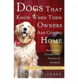 Dogs That Know When Their Owners Are Coming Home and Other Unexplained Powers of Animals