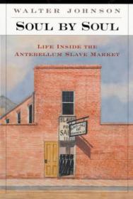 Soul by Soul - Life Inside the Antebellum Slave Market