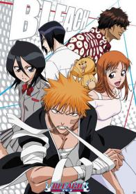 Bleach v2 11-20