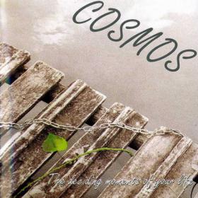 [Progressive Rock] Cosmos - The Deciding Moments Of Your Life 1996 (JTM)