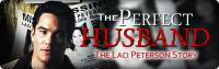 The perfect husband the laci peterson story 2004 hr hdtv x264-daview