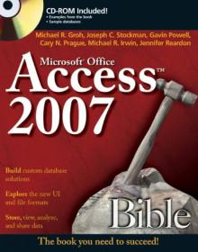 Microsoft Office Access 2007 Bible (ENG)