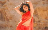 25 Sexy South Indian Hot Actress Wallpapers Set 1