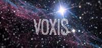 Voxis Launcher v0 22 APK