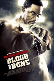 Blood And Bone 2009 DVDRip XviD-DOMiNO
