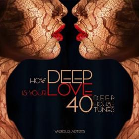 VA â€“ How DEEP Is Your Love 40 Deep House Tunes (2015)