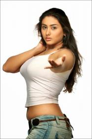South Indian Busty Actress Namitha Hot Photos( 53 Hot Photos )