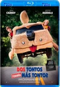 Dos Tontos Todavia Mas Tontos 2014 [BDremux 720p][DTS 5.1 Castellano-DTS 5.1 Ingles+Subs][ES-EN]