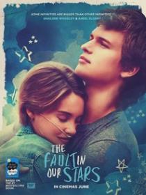 The Fault in Our Stars - Colpa delle Stelle (2014) [DVD9 - MultiLang 5 1 - Multisubs]