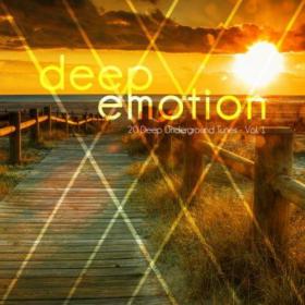 VA â€“ Deep Emotion (20 Deep Underground Tunes), Vol  1 (2015)[320][EDM RG]