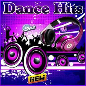 VA - Dance Hits Vol 305 (2013)