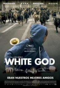 Dios Blanco White God 2014 [BDrip][x264][Castellano]