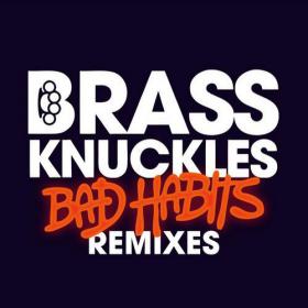 Brass Knuckles - Bad Habits (DotEXE Remix)(2012)[320][EDM RG]