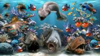 25 Deep Blue Sea Animals Wallpapers Set 29