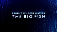 BBC Earths Wildest Waters The Big Fish Series 1 4of6 Costa Rica 720p HDTV x264 AAC