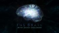 PBS The Brain with David Eagleman 5of6 Why Do I Need You 720p HDTV x264 AAC