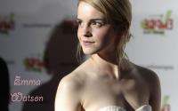 25 Emma Watson Hot Wallpapers Set 20