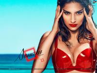 25 Sexy Sonam Kapoor Hot Wallpapers Set 2