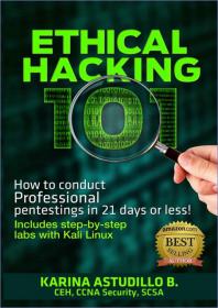 Ethical Hacking 101 - How to conduct professional pentestings in 21 days or less! [Volume 1 (How to hack)]