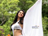 25 Sexy Rakul Preet Best Wallpapers Set 3