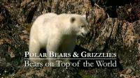 BBC Natural World 2009 Bears on Top of the World 720p HDTV x264 AAC