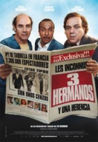 3 Hermanos y Una Herencia [BluRay Rip][AC3 5.1 Español Castellano][2015]