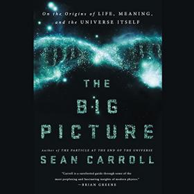 The Big Picture On the Origins of Life, Meaning, and the Universe Itself [Audiobook]