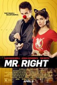 Mr Right 2015 1080p BRRip x264 AAC-ETRG