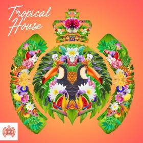 VA - Ministry of Sound - Tropical House (2016)-Faddy665