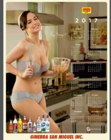 San Miguel - Calendar Girl 2017 - True PDF - 2307 [ECLiPSE]
