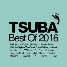 VA-Tsuba_Best_of_2016-WEB-2016-BPM [EDM RG]