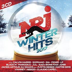 Various Artists - NRJ Winter Hits 2017 (2017) (by emi)
