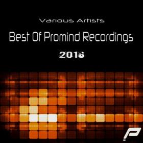 VA-Best_Of_Promind_Recordings_2016-PMRCD012-WEB-2017-PITY [EDM RG]