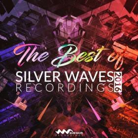 VA-The_Best_Of_Silver_Waves_Recordings_2016-(SWRC010)-WEB-2017-ENSLAVE [EDM RG]