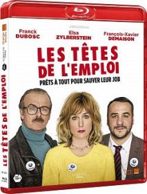 Les Tetes De L Emploi 2016 FRENCH 720p BluRay DTS x264-PKPTRS