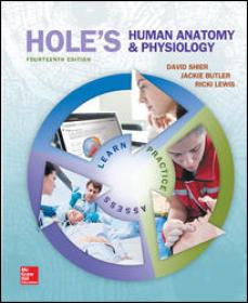 Shier - Holes Human Anatomy and Physiology 14th Edition c2016 txtbk PDF 7z