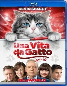 Una Vita Da Gatto 2016 DTS ITA ENG 1080p BluRay x264-BLUWORLD