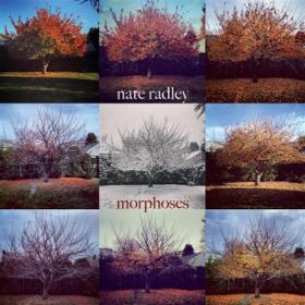 Nate Radley - Morphoses (2014)